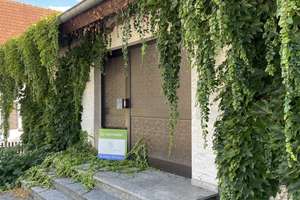 Schönes Einfamilienhaus mit viel Grün – 55232 Alzey – Vorschaubild 17