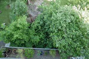 Property thumbnail 26