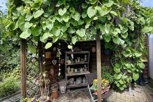 Die Familienlösung! – Dessau-Roßlau – Vorschaubild 10