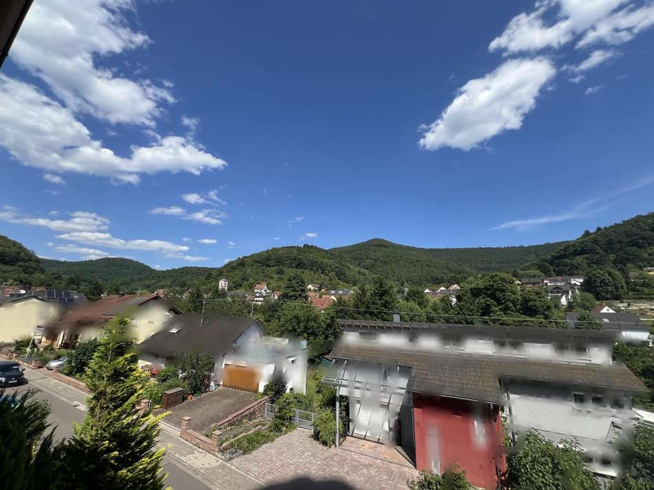 Blick übers Dorf in den Pfäl