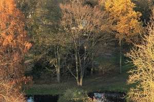 Penthouse über den Dächern von Krefeld - mit 360°-Panoramaterrasse – Uerdingerstrasse 421, 47800 Bockum, Krefeld – Vorschaubild 23