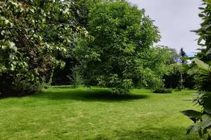 Neuer Preis!! -  Großes Mehrfamilienhaus mit Garagengebäude in Solingen-Wald! – Die vollständige Adresse der Immobilie erhältst du vom Anbieter., 42719 Wald, Solingen – Vorschaubild 5