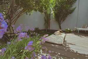 Property thumbnail 21