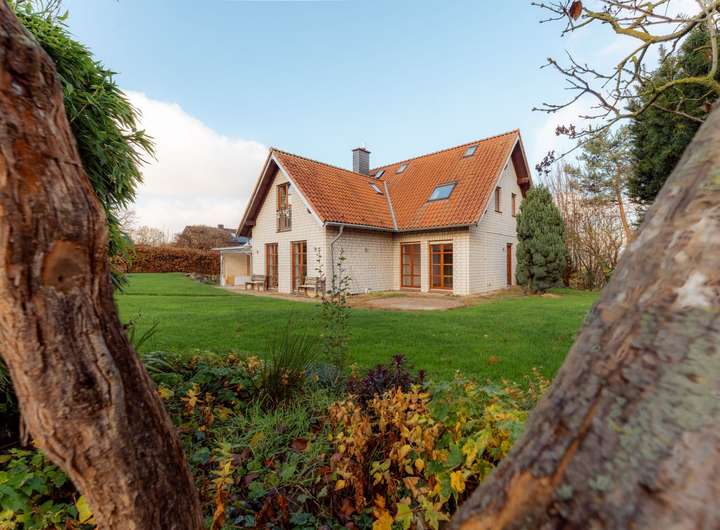 Real Estate Title Image Background