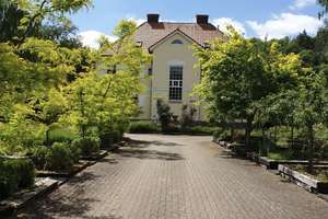 Villenanwesen inkl. zusätzlichem Bauplatz  – Lautenthaler Straße 50, 38723 Seesen – Vorschaubild 2
