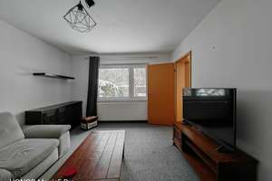 möbliertes Haus Mit Keller und Garage – Hinter der Düne 9, 12559 Müggelheim, Berlin – Vorschaubild 7