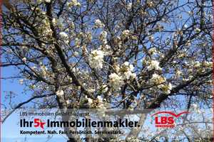 EFH IGGELBACH -Schöne Lage mit viel Wohnpotential! – Bad Dürkheim (Kreis) – Vorschaubild 4