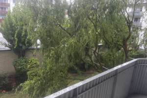 Gemütliches Zuhause unbefristet – 3 Zimmer ab 01.01.2026 – Grahnstraße Xy, 30165 Vahrenwald, Hannover – Vorschaubild 8