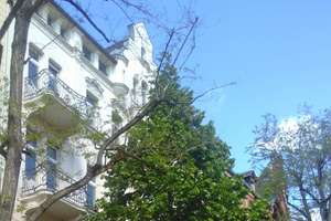 ruhige 3 Zimmer Wohnung mit zwei Balkonen, provisionsfrei – Die vollständige Adresse der Immobilie erhältst du vom Anbieter., 65195 Westend / Bleichstraße, Wiesbaden – Vorschaubild 16