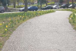Studenten-Eltern aufgepasst! Sofort beziehbare Einzimmerwohnung in Alt-Reinickendorf – Lindauer Allee 24a, 13407 Reinickendorf (Ortsteil), Berlin – Vorschaubild 5