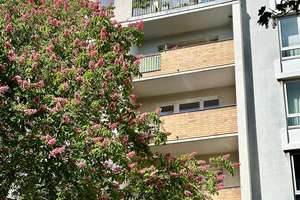 FREI + Modernisiert: ETW  in Kreuzberg + 2 Zi + Große Wohnküche teilbar + EBK + SÜD-Balkon + 4. OG – Die vollständige Adresse der Immobilie erhältst du vom Anbieter., 10997 Kreuzberg, Berlin – Vorschaubild 5