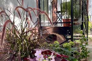Wohnung mit 2 Gärten direkt am Günthersburgpark  – Die vollständige Adresse der Immobilie erhältst du vom Anbieter., 60389 Nordend-Ost, Frankfurt am Main – Vorschaubild 12