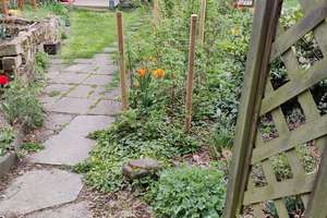 Property thumbnail 17