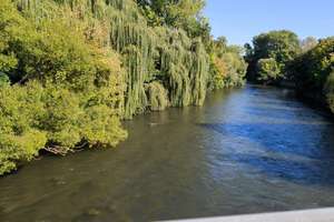 Property thumbnail 16