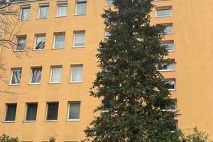 Gemütliche 3-Zimmer-Etagenwohnung in ruhiger, aber dennoch zentraler Lage. – Die vollständige Adresse der Immobilie erhältst du vom Anbieter., 81671 Echarding, München – Vorschaubild 1