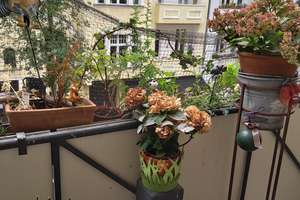 Property thumbnail 12