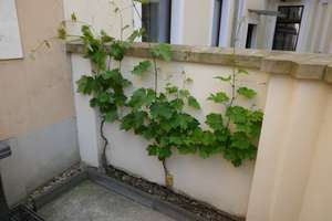 Property thumbnail 23