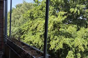 2-Zimmer-Wohnung mit Balkon, Innenstadt-West - WBS erforderlich – 44147 Dorstfelder Brücke, Dortmund – Vorschaubild 9