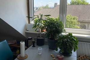 FÜR  AUFSTEIGER TOLLE WOHNUNG IM HERZEN VON AACHEN – Jakobstr. 26, 52064 Lindenplatz, Aachen – Vorschaubild 11