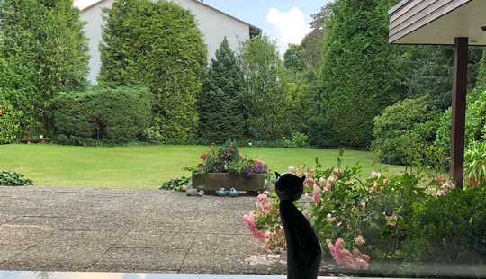 Bild von Ihr Traumhaus mit großem Garten in Fallersleben direkt am Schwefelpark
