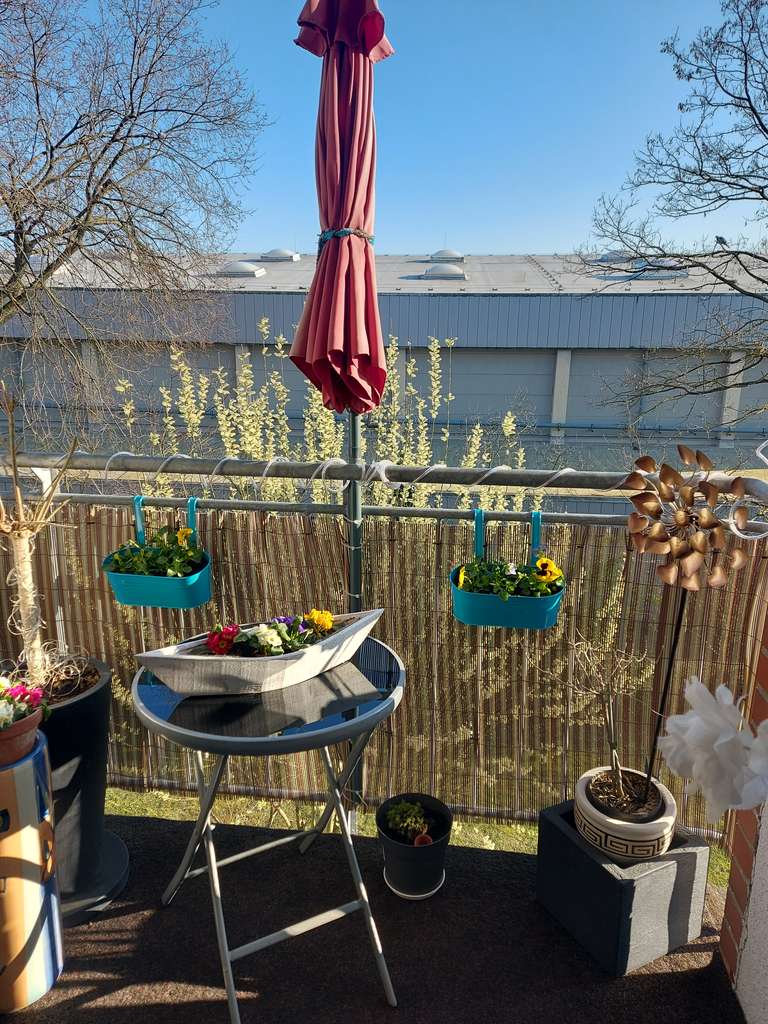 Immobilie in Velten - Kapitalanlageobjekt *3-Zimmer-Wohnung* - Bild 4