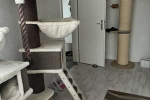 Helle 3-Zimmer Wohnung mit Balkon in Südstadt-Rautheim-Mascherode – Die vollständige Adresse der Immobilie erhältst du vom Anbieter., 38126 Südstadt-Rautheim-Mascherode, Braunschweig – Vorschaubild 1