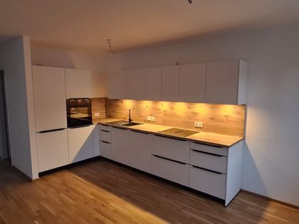 Geräumige 2-Raumwohnung mit großer Küche und neuem store Laminatboden