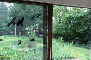 freistehendes Einfamilienhaus am Stadtwald – Gifhorn (Kreis) – Vorschaubild 10