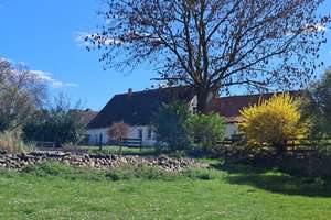GROSSZÜGIGES BAUERNHAUS AM SEE IM RANDOWTAL! – Die vollständige Adresse der Immobilie erhältst du vom Anbieter., 17291 Randowtal – Vorschaubild 2
