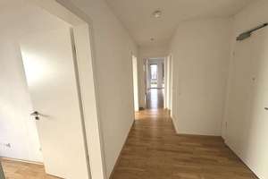 Property thumbnail 19