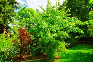 Property thumbnail 5