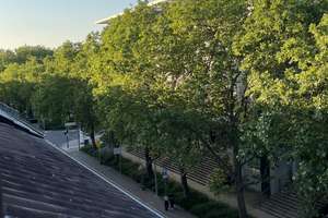 Helle DG-Wohnung in Karlsruhe Innenstadt – ideal als 2er-WG – Die vollständige Adresse der Immobilie erhältst du vom Anbieter., 76131 Innenstadt-Ost, Karlsruhe – Vorschaubild 4