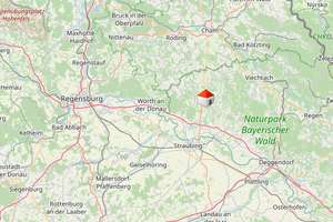 Im Einklang mit der Natur: Kernsaniertes Zuhause in ruhiger Lage und Fernblick – Spormühle 4, 94372 Rattiszell – Vorschaubild 29