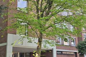 Bezugsfrei: Panoramaloggia, 115 qm-4 Zimmer- im grünen Köln-Niehl – Nesselrodestr 20a, 50735 Niehl, Köln – Vorschaubild 7