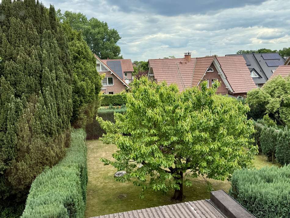 Blick aus dem Fenster