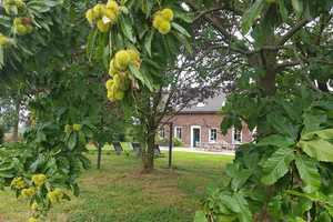 sanierter Resthof mitten im Landschaftsschutzgebiet – Viersen (Kreis) – Vorschaubild 5