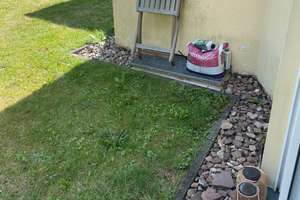 Kompaktes 1-Zimmer-Apartment in Bielefeld – 33619 Schildesche, Bielefeld – Vorschaubild 13