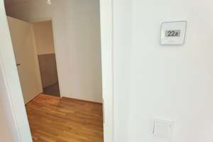 Zentrumsnahe Luxus-0ase im Grünen – Leipziger Straße 35, 1097 Leipziger Vorstadt, Dresden – Vorschaubild 11