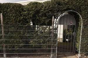 Helles Haus (Bungalow) mit 2 Garagen, 2 Stellplätzen, Garten in ruhiger zentraler Lage – Am Forsthaus Gravenbruch 24a, 63263 Neu-Isenburg – Vorschaubild 40
