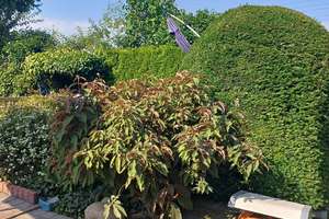 Property thumbnail 16