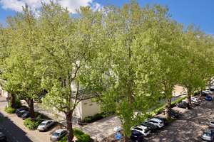 Über den Dächern des Blumenplatzes – Modernisierte 2-Zimmer-Wohnung mit Einbauküche – Die vollständige Adresse der Immobilie erhältst du vom Anbieter., 47798 Stadtmitte, Krefeld – Vorschaubild 9