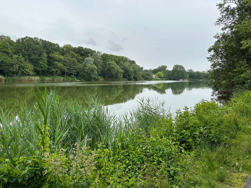 Wohnen in Bestlage direkt am Cappenberger See