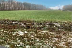 Wohnen auf einer Ebene in schöner Wohnlage  – Altenkirchen (Westerwald) (Kreis) – Vorschaubild 25