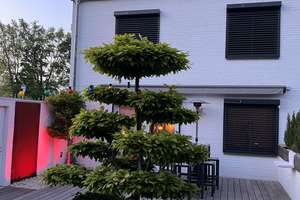 Familienhaus am Park | 150.000 € investiert | Neues Dach | Neue Heizung | PV – Canisiusstraße 12, 47803 Kempener Feld/Baackeshof, Krefeld – Vorschaubild 19