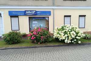 Platz für Jung & Alt – Großzügiges Einfamilienhaus mit vielen Möglichkeiten! – Anhalt-Bitterfeld (Kreis) – Vorschaubild 4