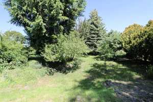3 Wohneinheiten - ca. 250 qm Wohnfläche - großer Garten - ruhig Gelegen in 2. Reihe – Anhalt-Bitterfeld (Kreis) – Vorschaubild 11