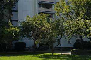 Wohnen mit Charakter: 1,5-Zimmer-Wohnung in Perlach – Alfred-Neumann-Anger 13, 81737 Neuperlach, München – Vorschaubild 2