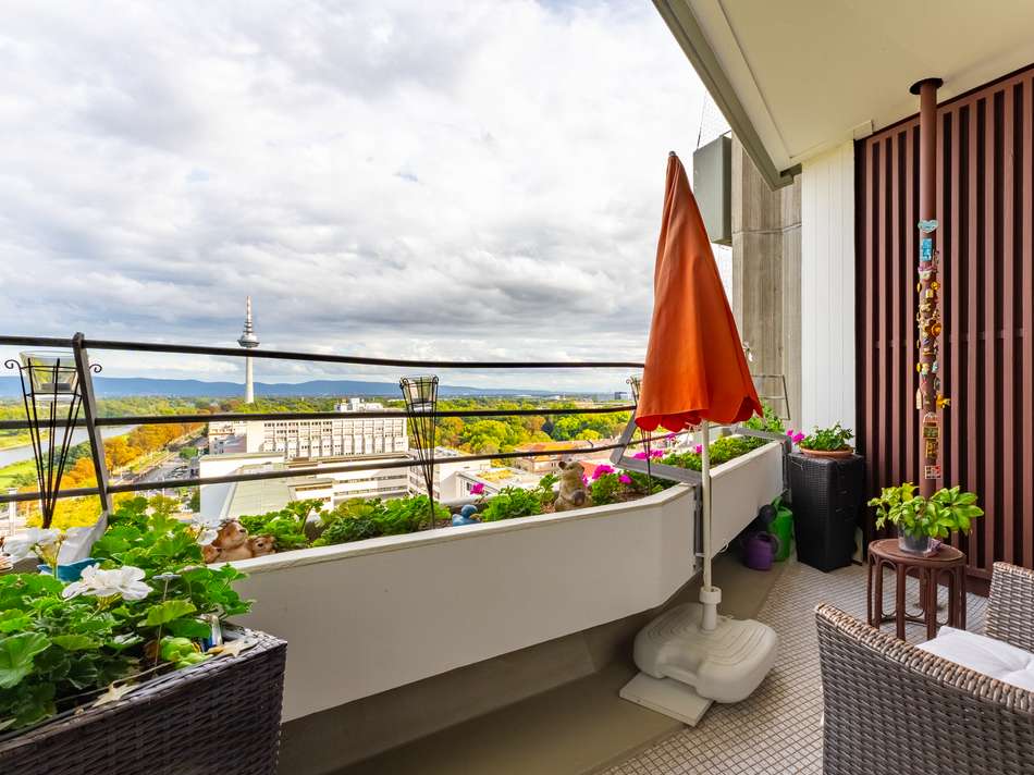 Morgensonne und Weite – Aus...