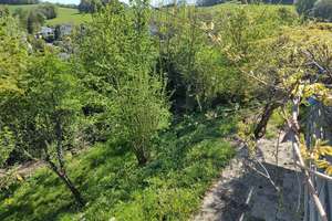 Viel Platz für den Alltag im Einfamilienhaus in Mörlenbach – Die vollständige Adresse der Immobilie erhältst du vom Anbieter., 69509 Mörlenbach – Vorschaubild 4