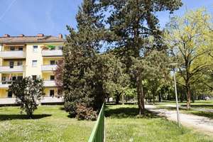 Absolute Ruhelage am Grünzug / Großzügige 3–4-Zi.-Wohnung / Südbalkon / Hobbyraum / Einzelgarage – Milbertshofenerstr. 57 B, 80807 Milbertshofen, München – Vorschaubild 14
